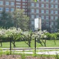 100%: Planning ‘greener’ cities