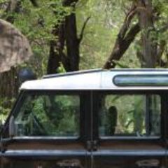 Trans-Africa – 1 year, 19 countries, 57,000 kilometres