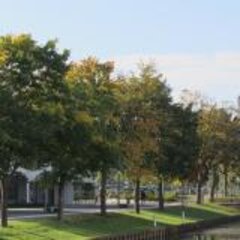 Wednesday Academy (News)