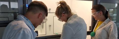 Heilung für beschädigte Knochen aus dem Labor