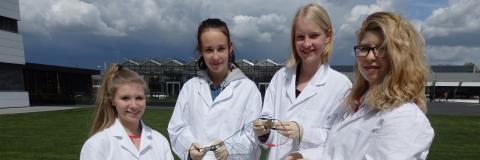 Girls‘ Day und Boys‘ Day 2017 an der Hochschule Rhein-Waal