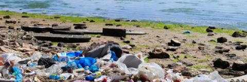 The Healthy Seas Initiative