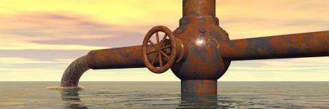 Wie schmutziges Wasser wieder sauber wird