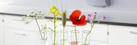 Workshop zum geplanten Green FabLab in Kamp-Lintfort