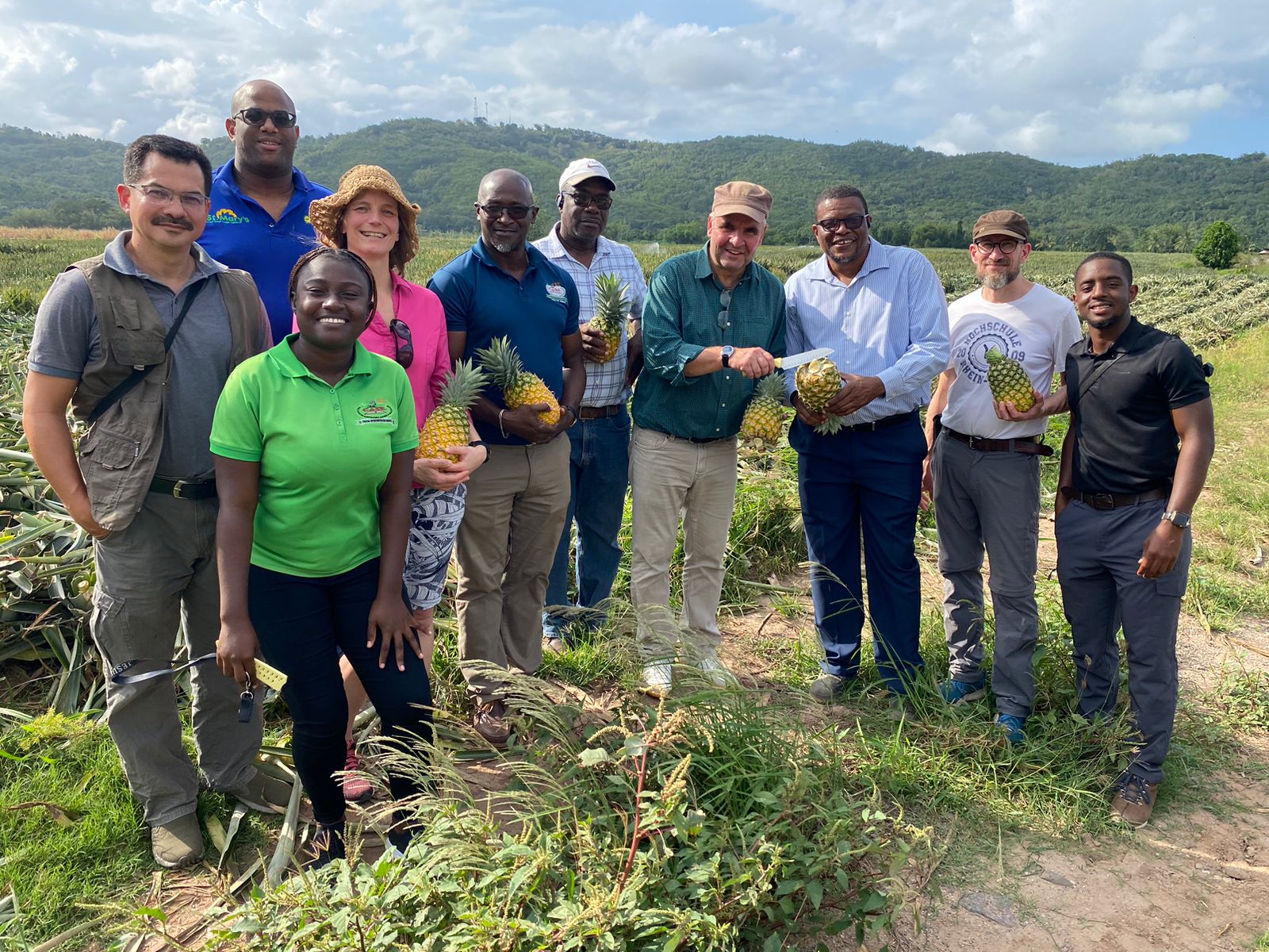 Ein fröhliches Gruppenfoto von mehreren Personen, die auf einem Feld Ananas in der Hand halten, um einen erfolgreichen Besuch oder eine Besichtigung der landwirtschaftlichen Anlage zu zeigen.