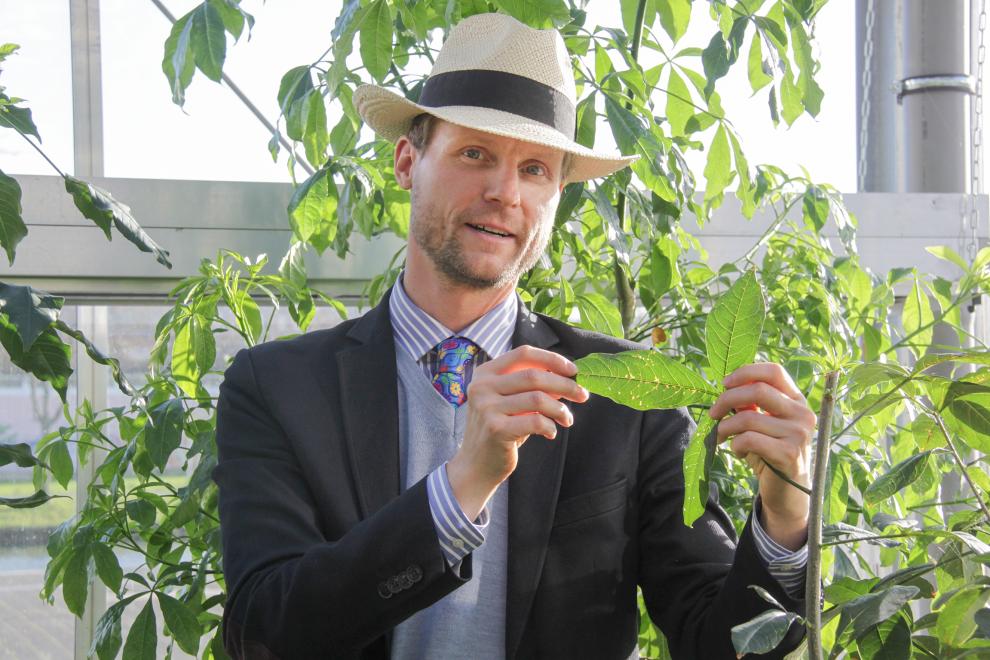 Prof. Dr. habil. Jens Gebauer