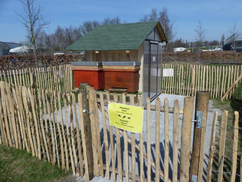 Bienenhaus mit 2 Völkern in der Streuobstwiese am tropischen Gewächshaus der Hochschule Rhein-Waal