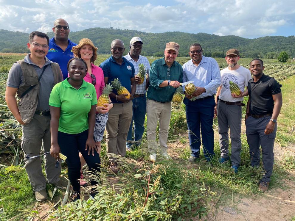 Ein fröhliches Gruppenfoto von mehreren Personen, die auf einem Feld Ananas in der Hand halten, um einen erfolgreichen Besuch oder eine Besichtigung der landwirtschaftlichen Anlage zu zeigen.
