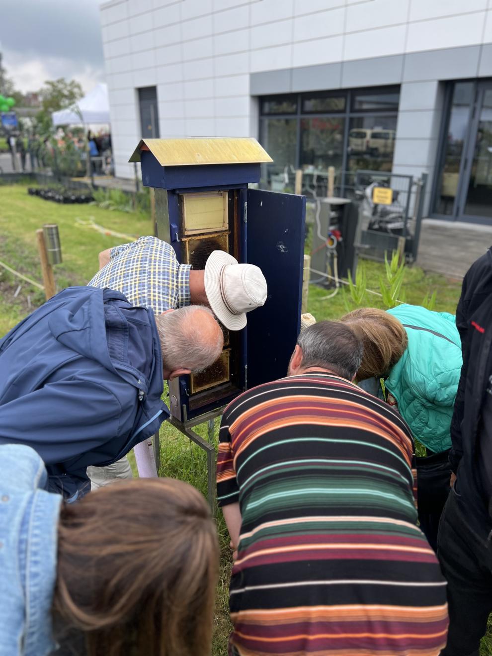 Eine Gruppe von Menschen beugt sich über einen Bienenstock, um mehr über die Bienenhaltung zu erfahren. Der Bienenstock ist für Demonstrationszwecke geöffnet.