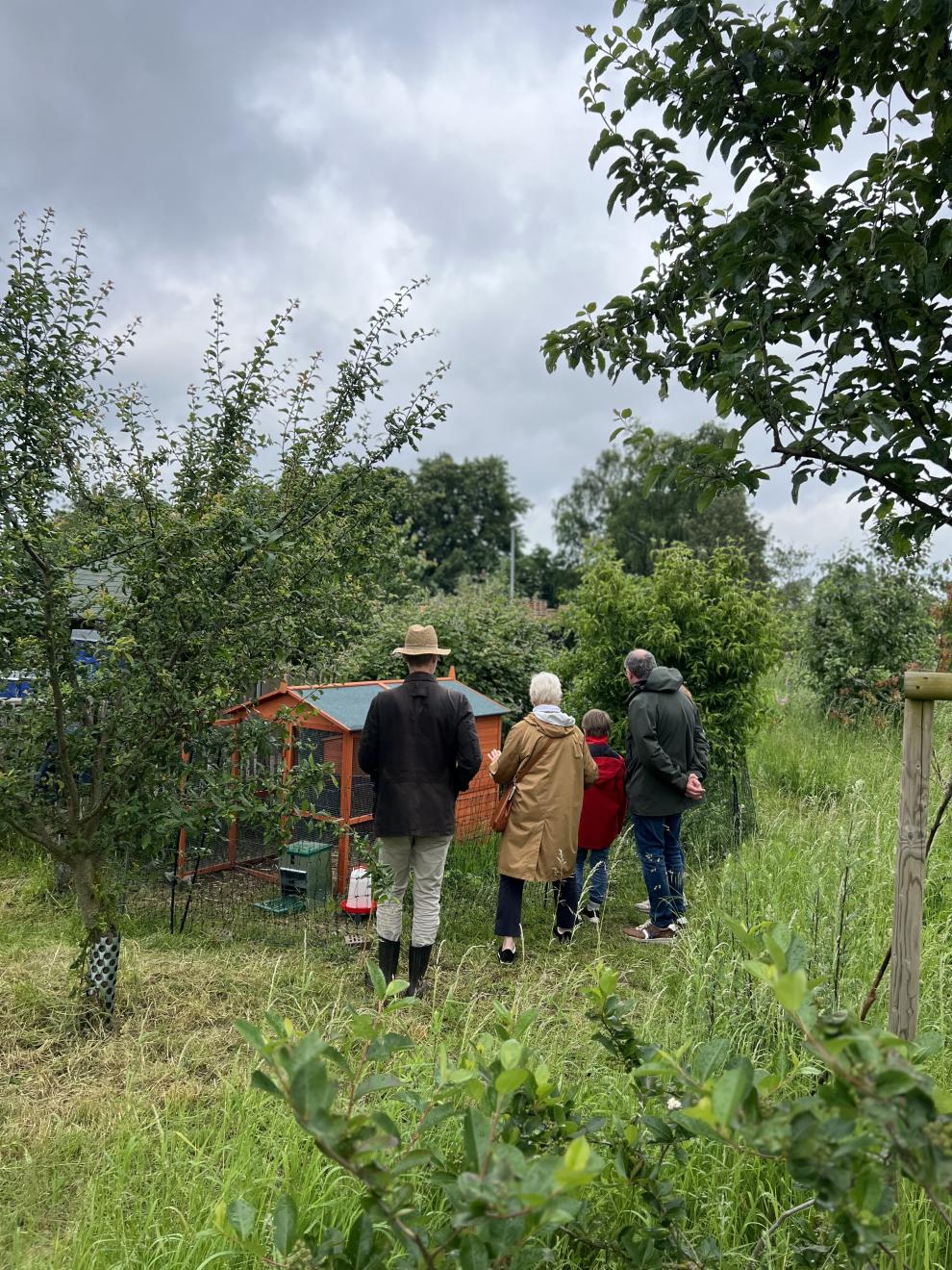 Besucher, darunter eine Familie, stehen vor einem Hühnerstall im Agroforstbereich und betrachten die Hühnerhaltung. Der Stall ist von üppiger Vegetation umgeben.