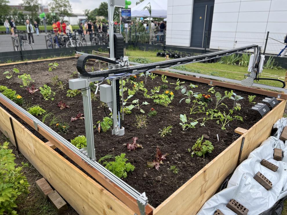 Ein automatisierter Gartenroboter arbeitet in einem Hochbeet mit verschiedenen Pflanzen. Dies ist eine Demonstration von automatisiertem Gärtnern.