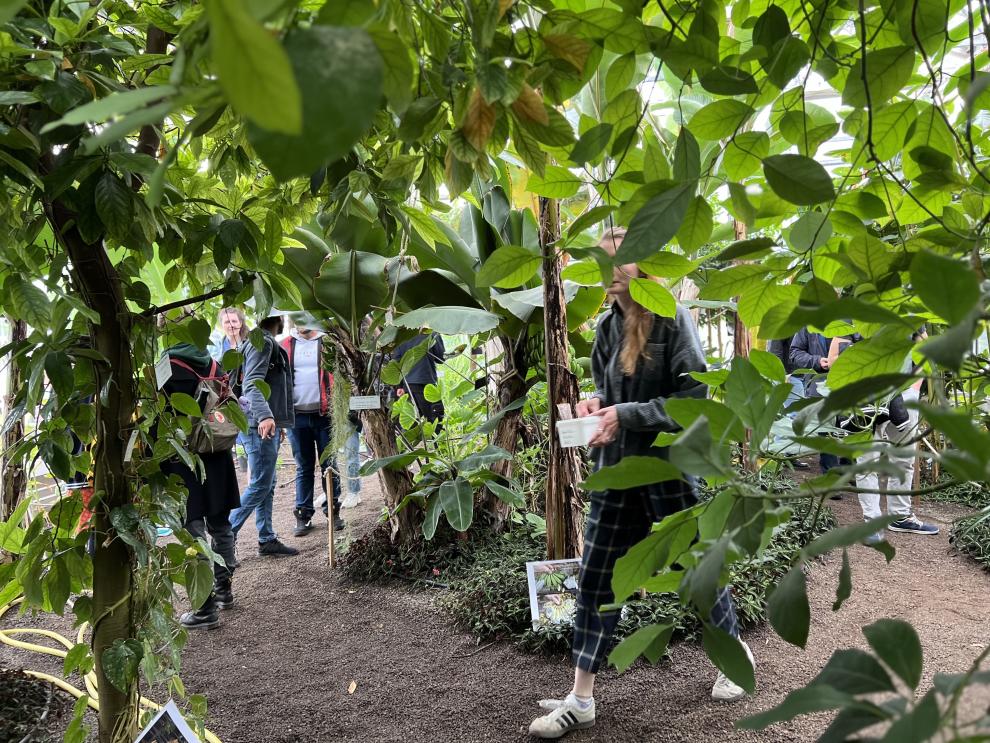Besucher erkunden das Tropenhaus, umgeben von üppiger tropischer Vegetation.
