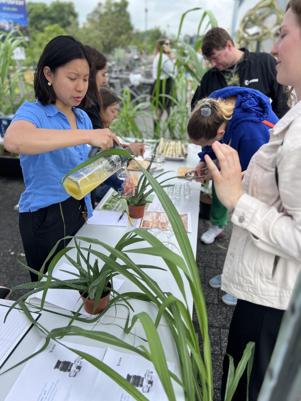 Eine Mitarbeiterin schenkt Aloe-Vera-Saft aus, während andere Besucher den Stand umgeben. Der Stand zeigt verschiedene tropische Pflanzen und bietet Verkostungen an.