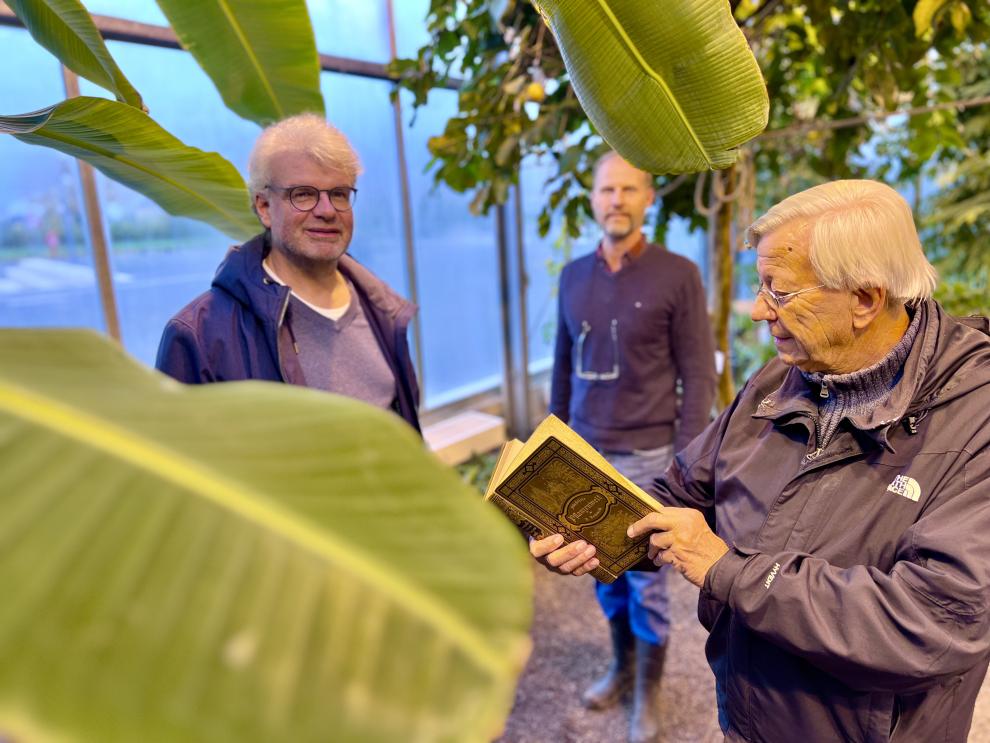 v.l.n.r.: Thomas Brokamp, Prof. Jens Gebauer und Klaus Cordes im Tropenhaus, Campus Kleve ©HSRW / Stephan Hanf