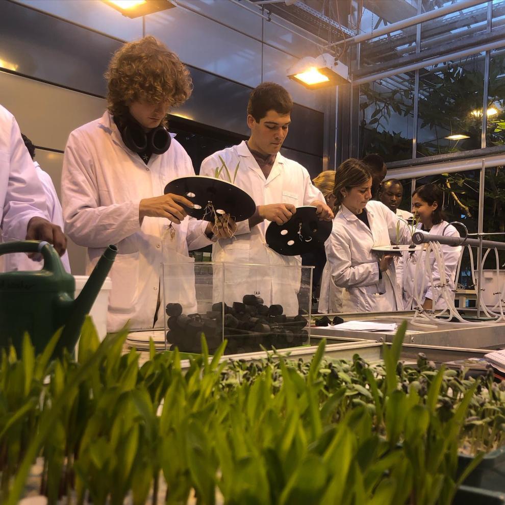Students doing the crop physiology practical part in lab gear.