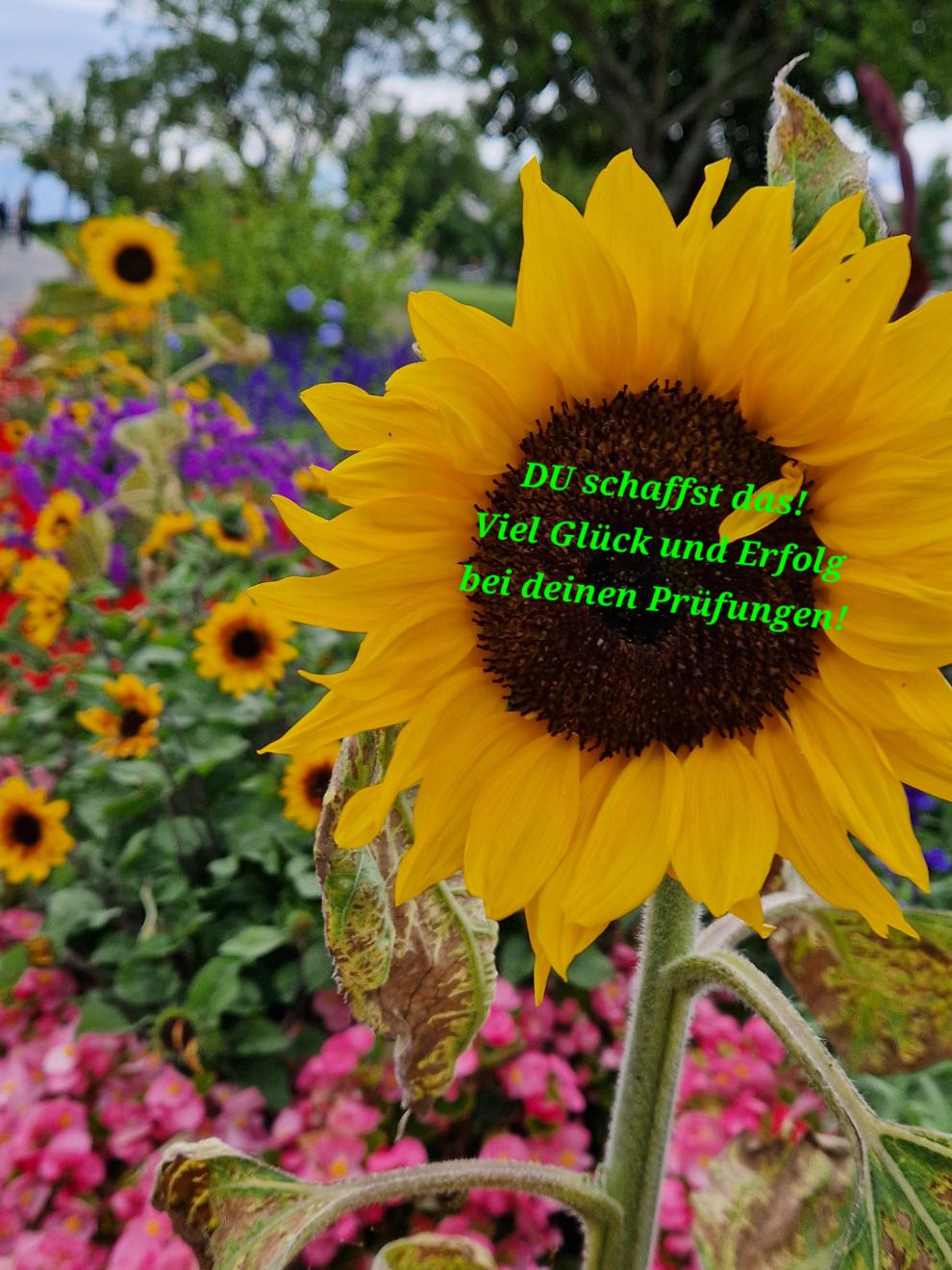 © HSRW / P. Weigelt-Lindemann