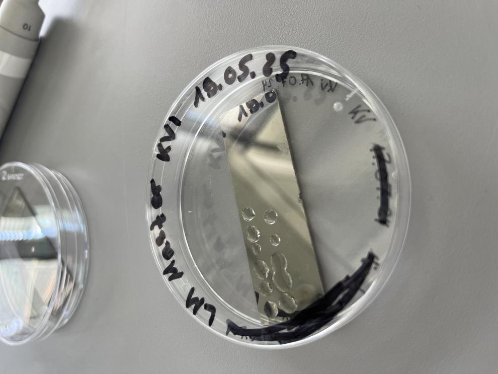 Die Nahaufnahme zeigt eine mit "LM Master KV1" und dem Datum "18.05.25" beschriftete Petrischale, die als Probe für ein Experiment ein Metallplättchen mit mehreren Flüssigkeitstropfen enthält.