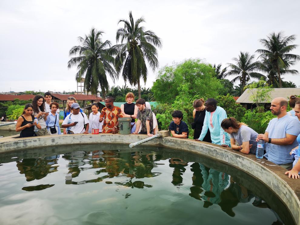 Studierende stehen im Kreis um ein großes, gemauertes Wasserbecken einer Fischzuchtanlage im Freien und blicken konzentriert auf die Wasseroberfläche. Im Hintergrund sind Palmen zu sehen.