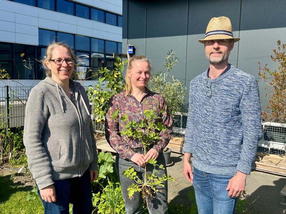 Drei Personen stehen in einem Garten und lächeln in die Kamera.