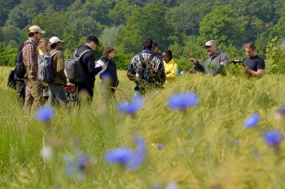 Eine kleine Gruppe von Studierenden steht in einem Feld mit goldenem, reifem Getreide und hört aufmerksam einer Person zu, die rechts im Bild steht und Erklärungen gibt.