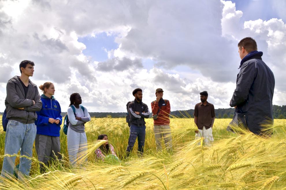 Eine Gruppe von Menschen steht im Feld, während zwei Personen auf der rechten Seite gestikulierend etwas erklären. Im unscharfen Vordergrund blühen blaue Kornblumen, im Hintergrund erstreckt sich ein dichter grüner Wald.
